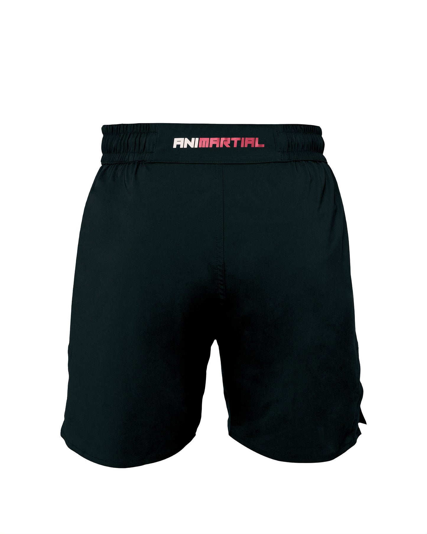 MMA Trainingsshort